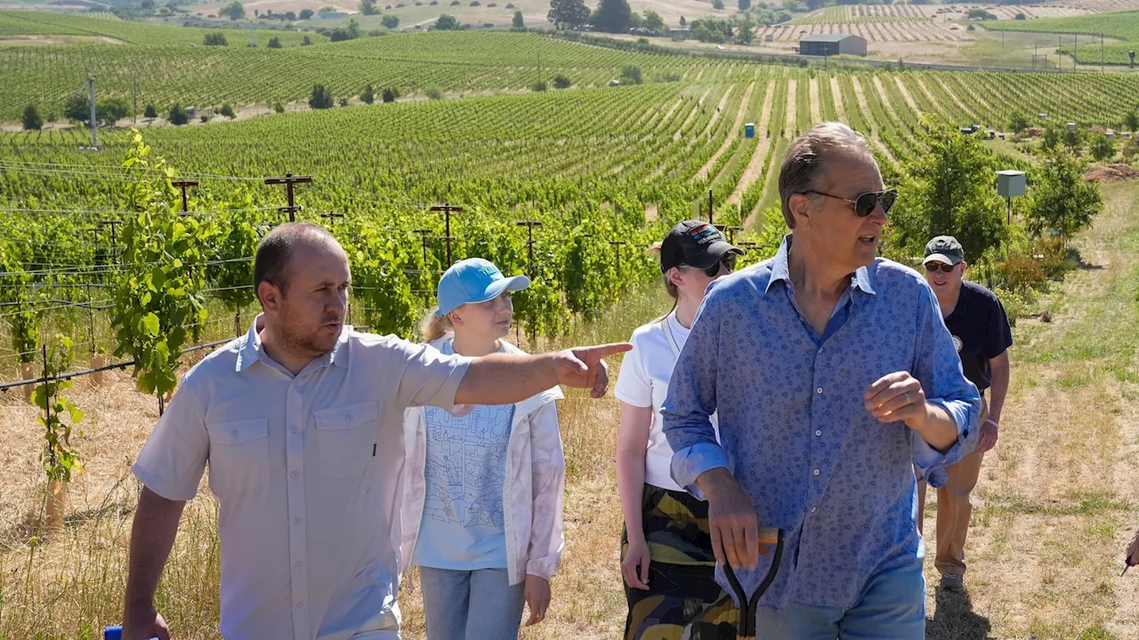 Ukrainian winemakers visit California's Napa Valley to learn how to heal war-ravaged vineyards