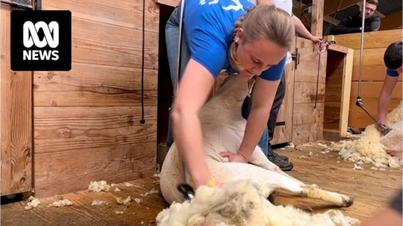 Australian stockwoman named world's top young female shepherd at competition in France