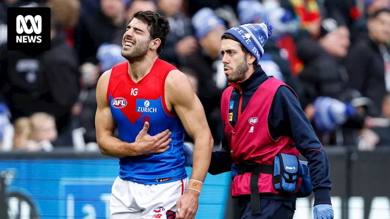 Melbourne AFL star Christian Petracca confirms on social media he will not play again in 2024 due to his lacerated spleen