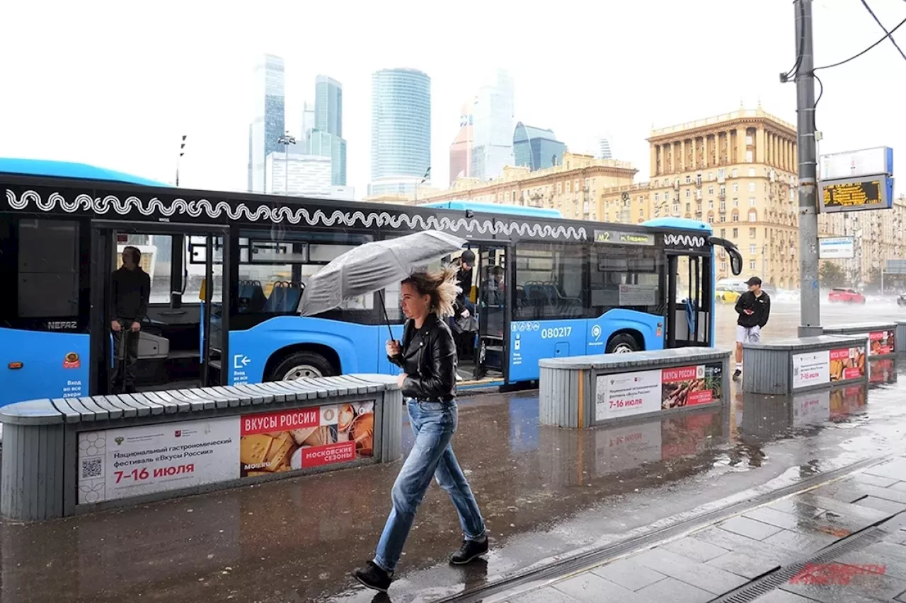 Синоптик Ильин спрогнозировал дожди и грозы в конце недели в Москве