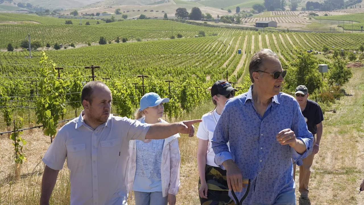 Ukrainian winemakers visit California's Napa Valley to learn how to heal war-ravaged vineyards