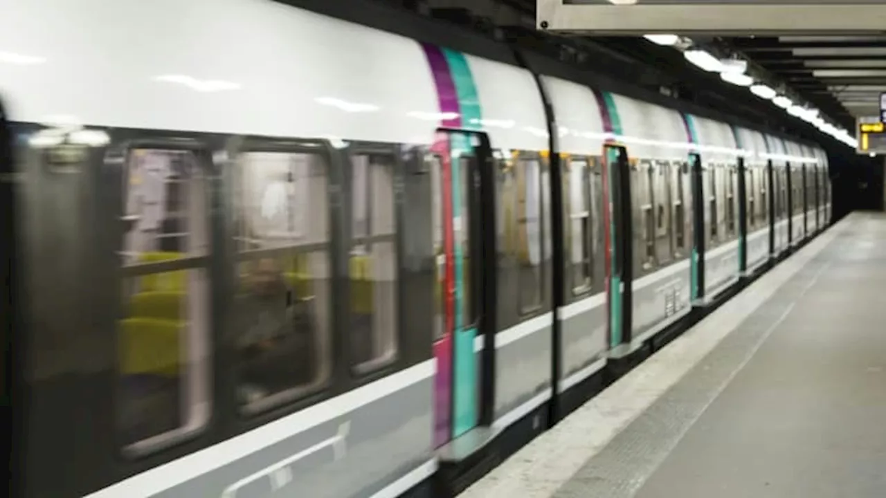 Femme poussée sur les rails du RER à Paris en 2023: le suspect mis en examen pour assassinat et écroué