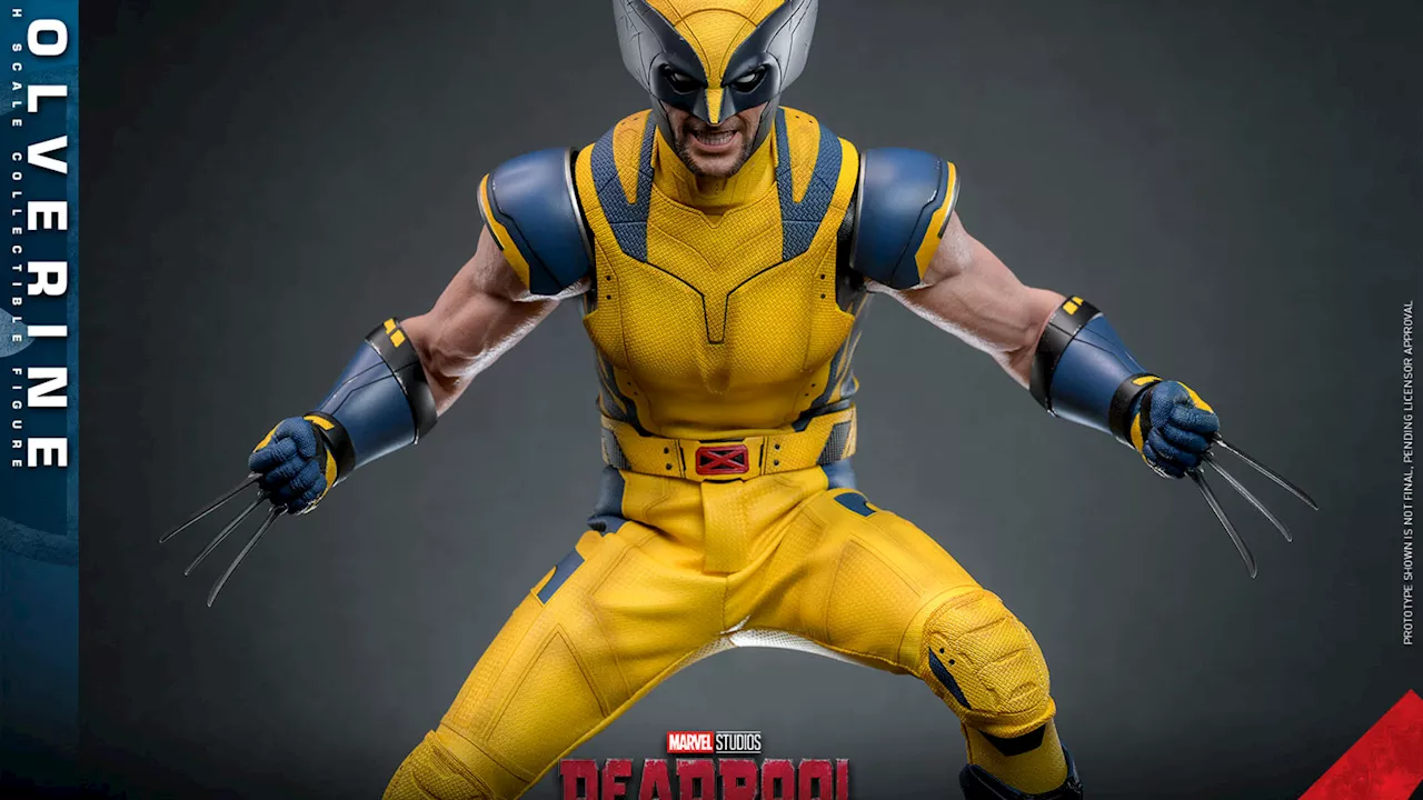 Hot Toys Unveils Uncanny 1/6 Wolverine from Deadpool & Wolverine