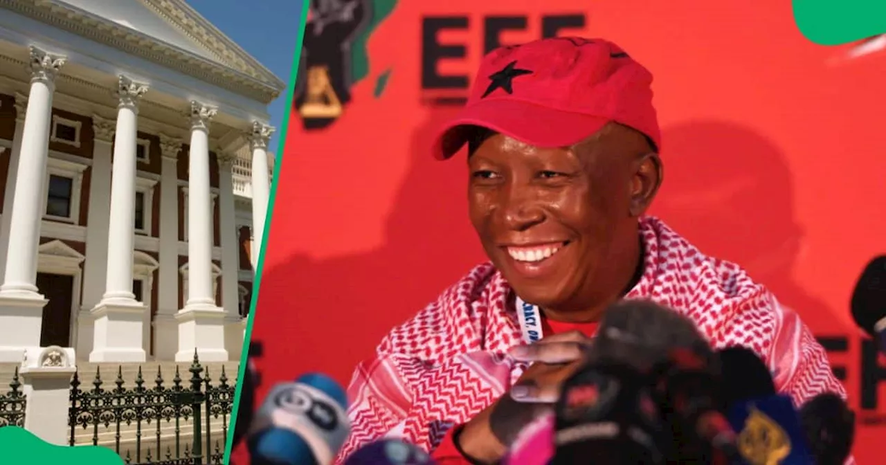 EFF’s Julius Malema Rejects Government of National Unity With Right-Wing Parties