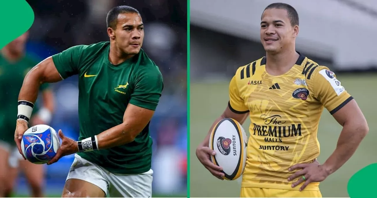 World Cup-Winning Springbok Winger Cheslin Kolbe Begins His Rehabilitation From a Knee Injury