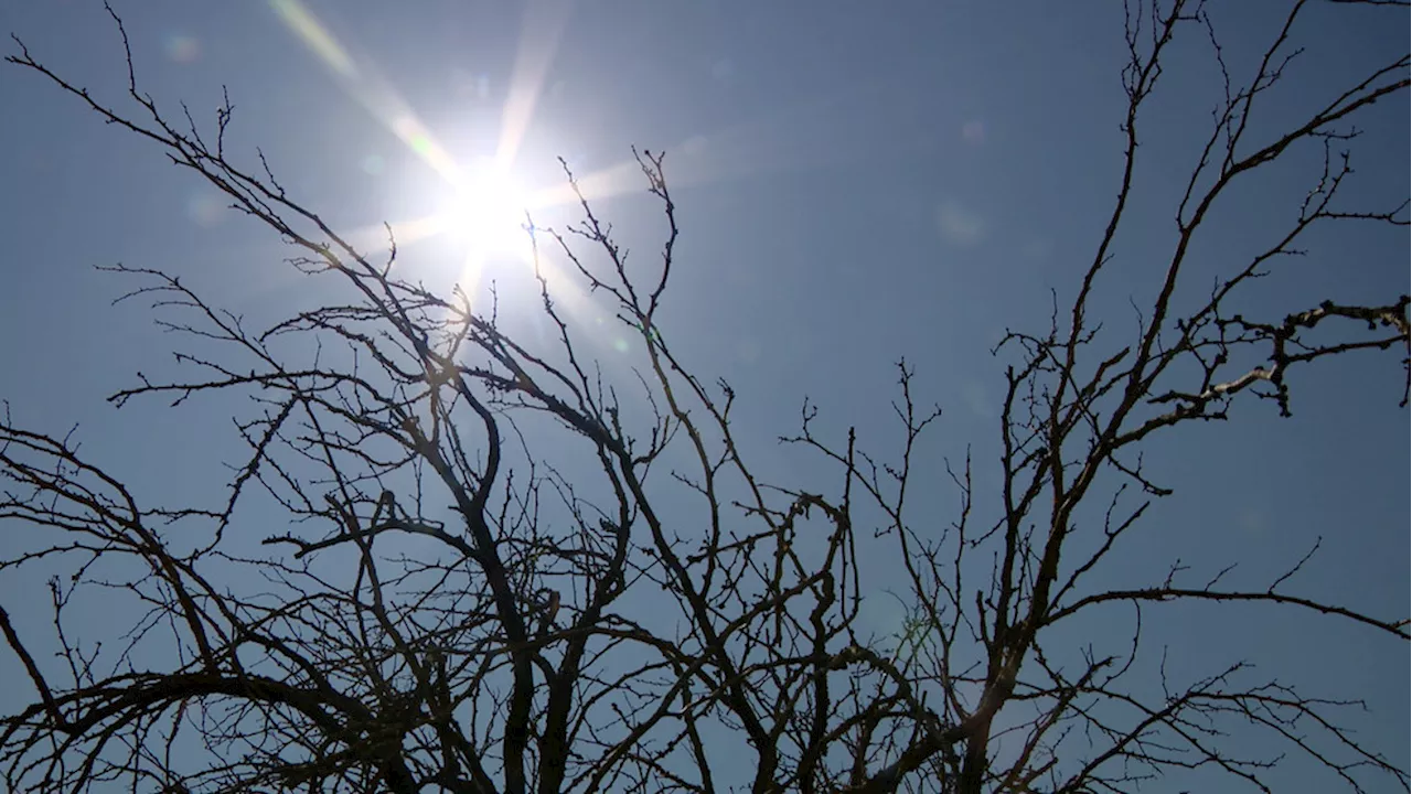 Record-shattering heat wave poses severe risks in the borderland, experts warn