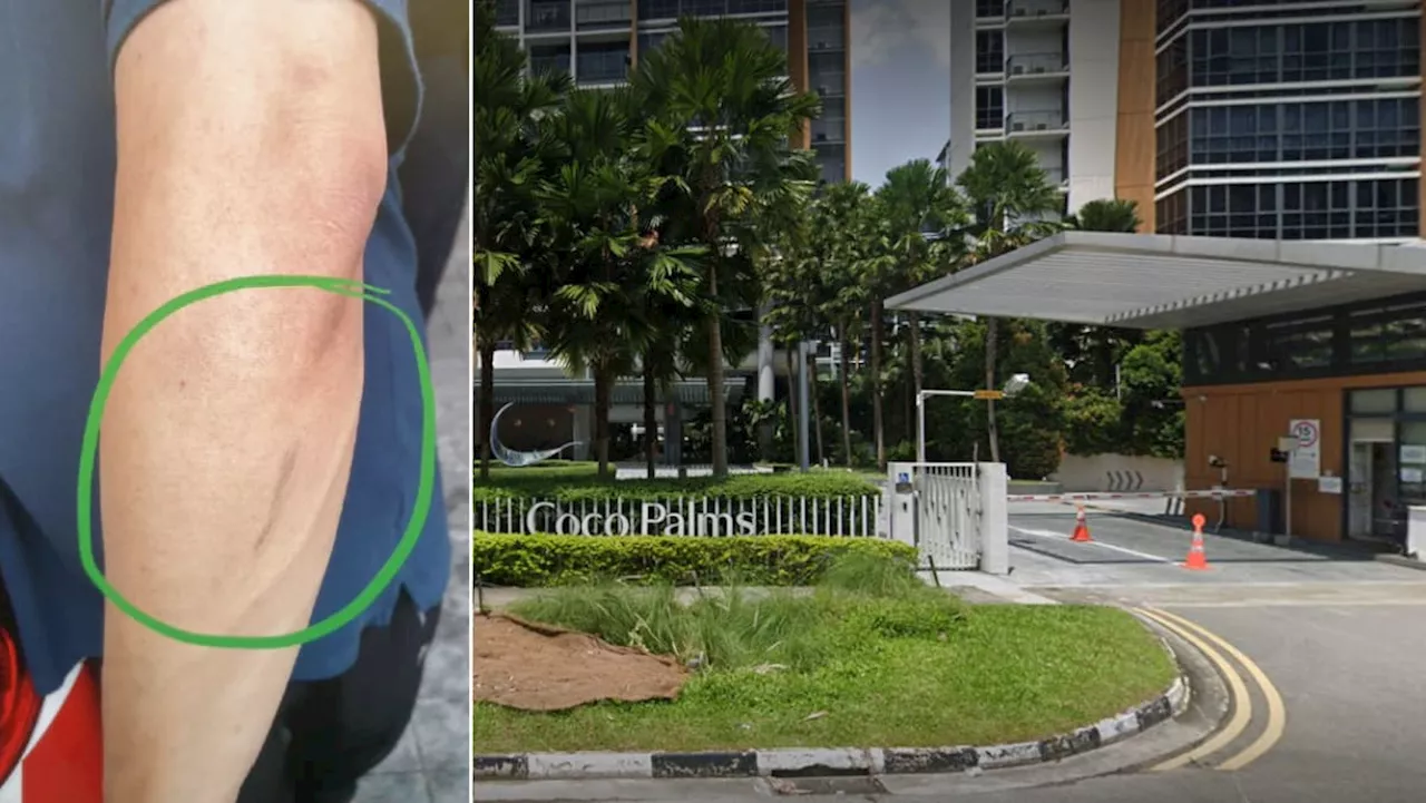 Driver who almost hit Pasir Ris condo chairman and drove dangerously gets fine, driving ban