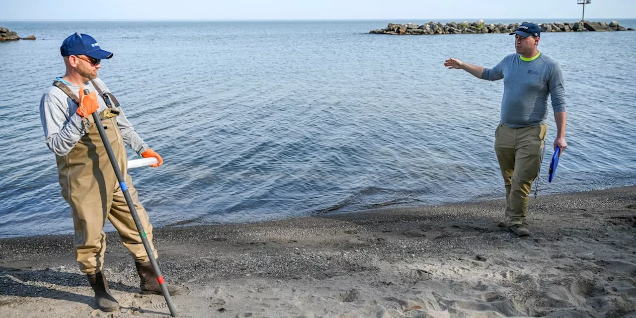 Six Northern Ohio beaches along Lake Erie under a bacteria contamination advisory for E. coli