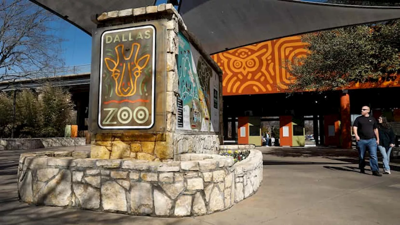 New Dallas Zoo parking garage to open summer 2025, officials say