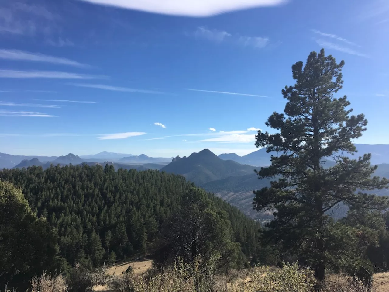 Looking for shade while you hike? These trails have you “covered”