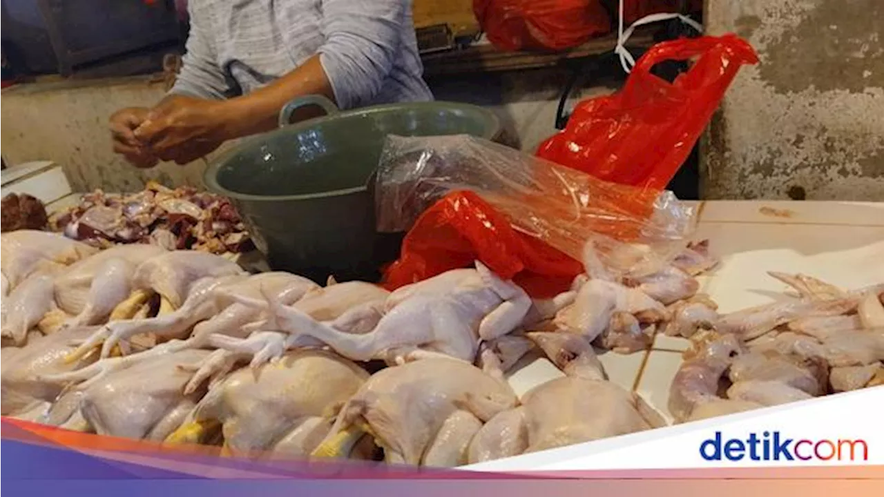 Duh! Harga Daging Ayam Naik Terus, Bisa Tembus Rp 60 Ribu/Kg Jelang Idul Adha