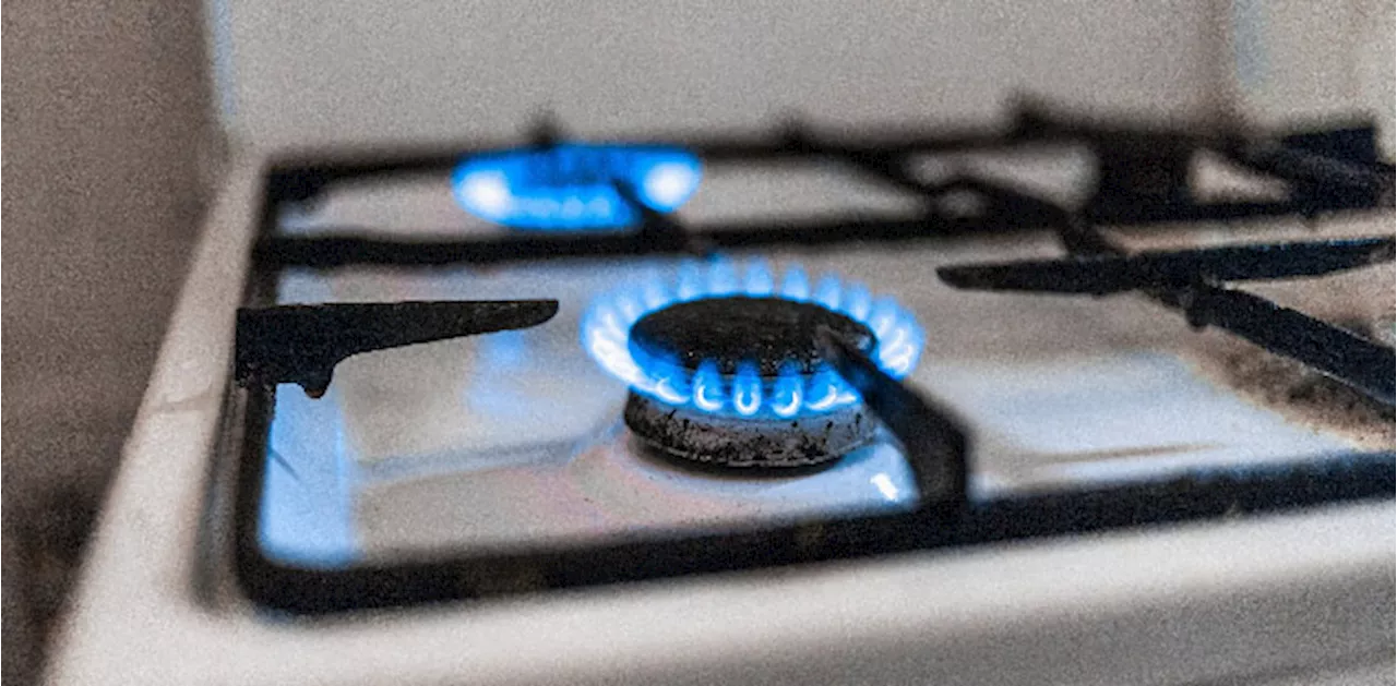 Stop gas expansion for home heating or risk leaving ratepayers on the hook: report