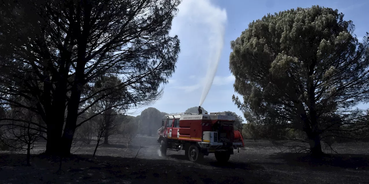 Incendies : la météo pluvieuse de cette année présente un risque pour cet été, alerte Météo-France