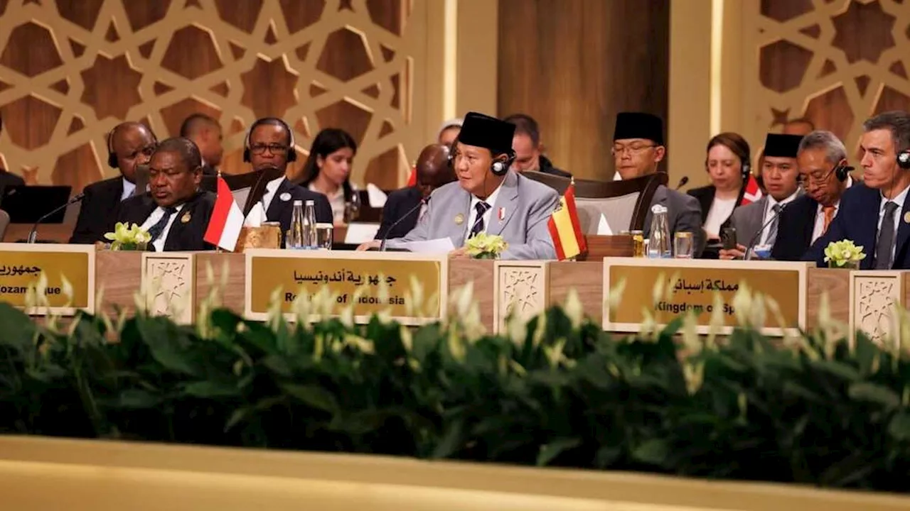 Lobi Negara-negara Dunia, Prabowo Dorong Gencatan Senjata di Gaza