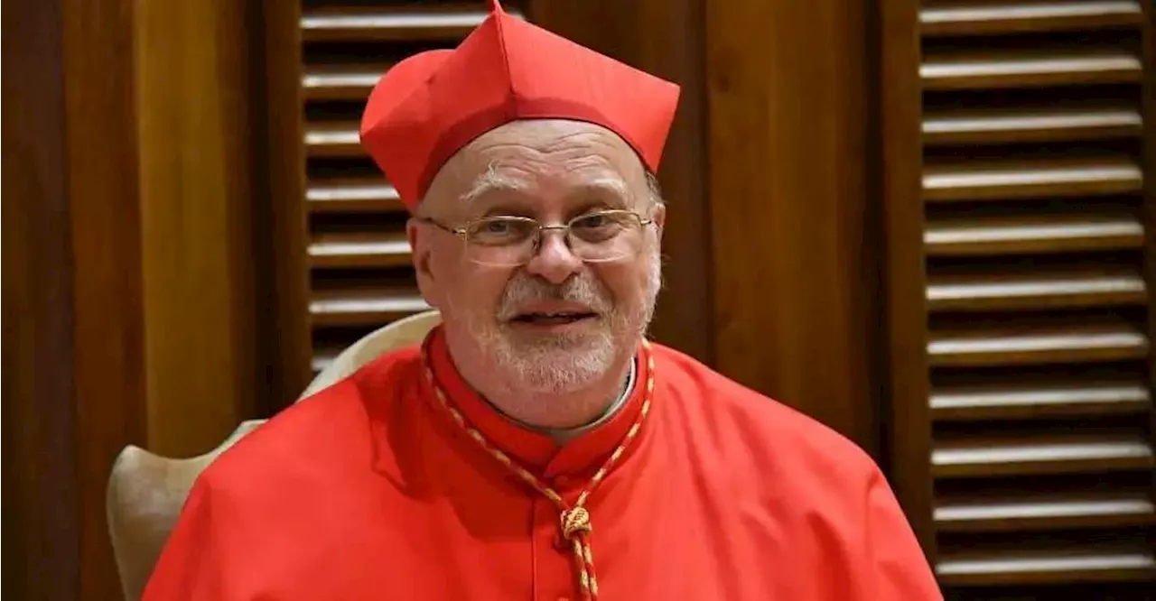 Swedish cardinal urges Catholics to protect the unborn