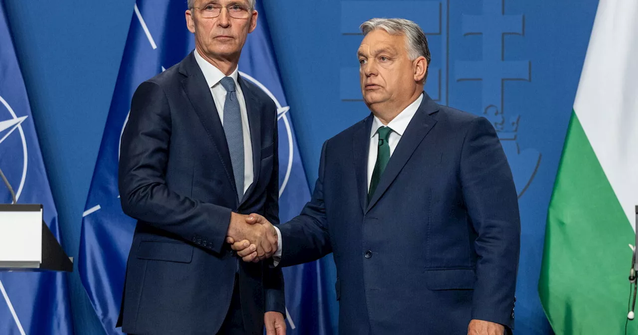 Orbán esclude aiuti all'Ucraina via Nato, crea un fronte “pacifista” filorusso e occhieggia a Ecr