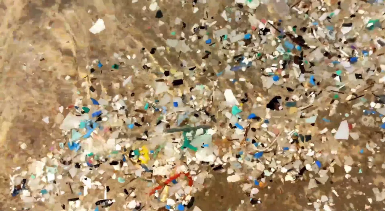 Scoperto fungo marino che mangia la plastica negli Oceani