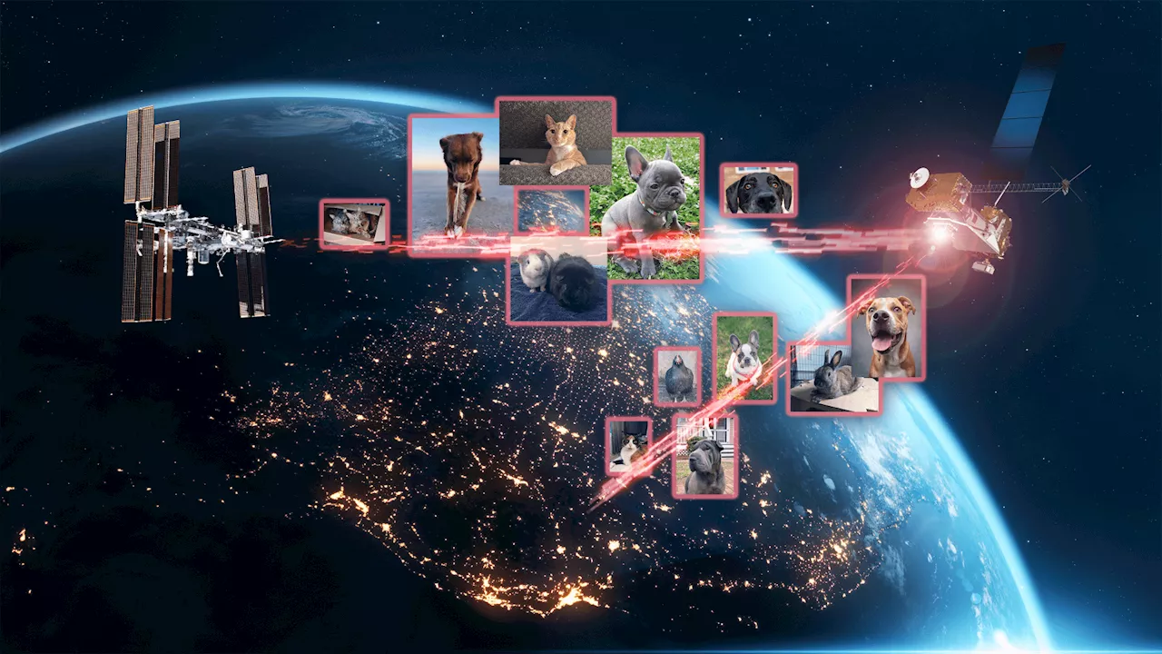 NASA beams pet pics into space at 1.2 Gbps, two-way laser comms achieved