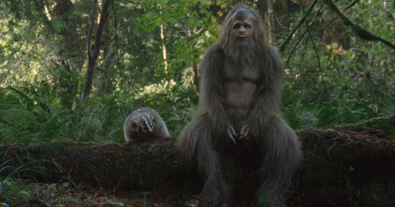 Sasquatch Sunset: Controversial Bigfoot movie is rewardingly novel, touchingly human and agreeably nutty