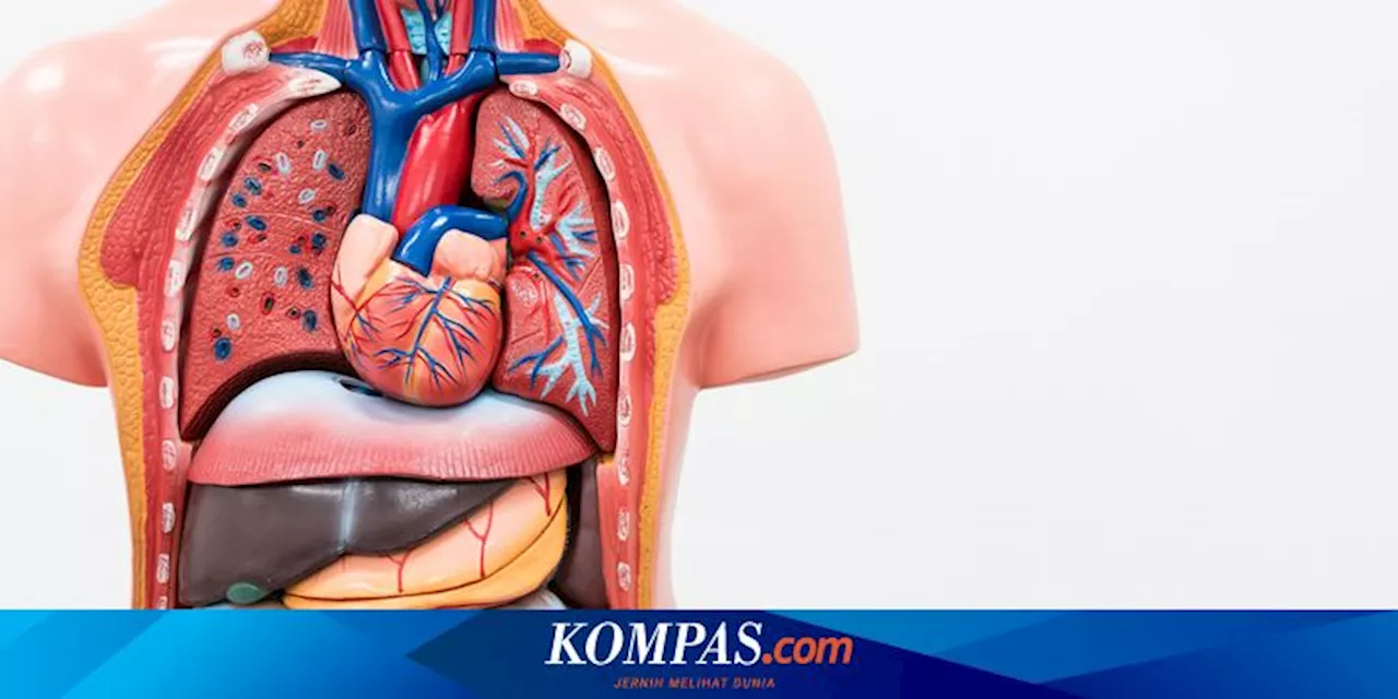 Pria 98 Tahun Diyakini Jadi Donor Organ Tertua di AS