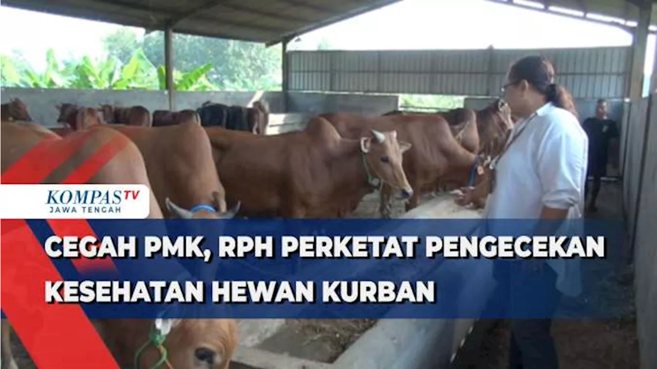 Cegah PMK, RPH Perketat Pengecekan Kesehatan Hewan Kurban