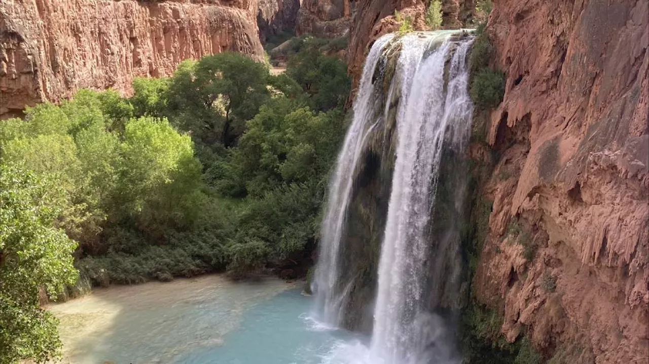 Dozens of hikers became ill during trips to waterfalls near the Grand Canyon