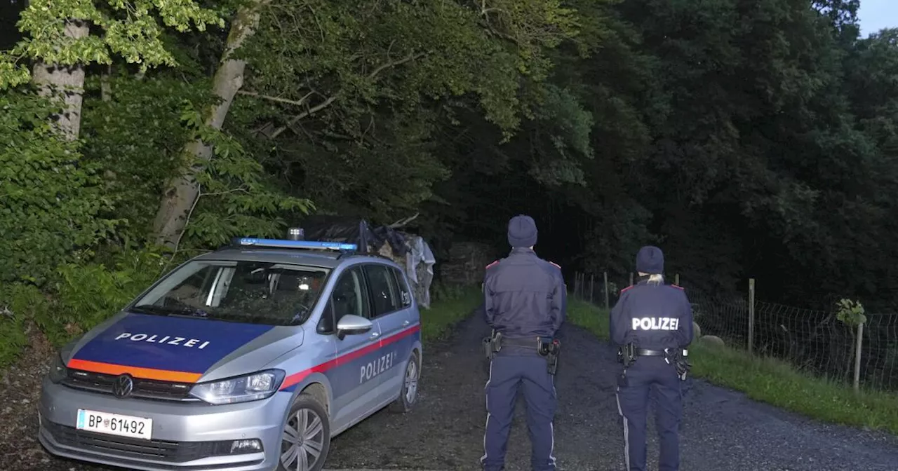 Gefahr nicht gebannt: Land Steiermark warnt vor Spaziergang in Wäldern