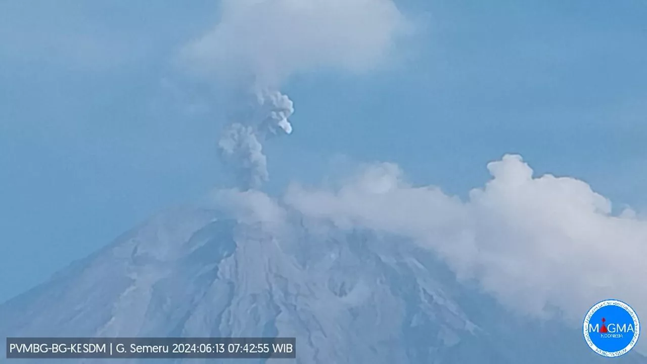 Gunung Semeru Erupsi, Semburkan Abu Vulkanik 900 Meter ke Arah Utara