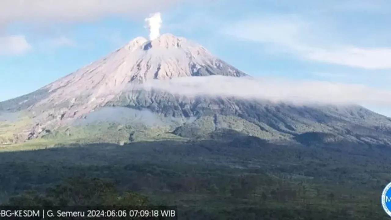 Gunung Semeru Kembali Erupsi, Lontarkan Abu Vulkanik Setinggi 900 Meter