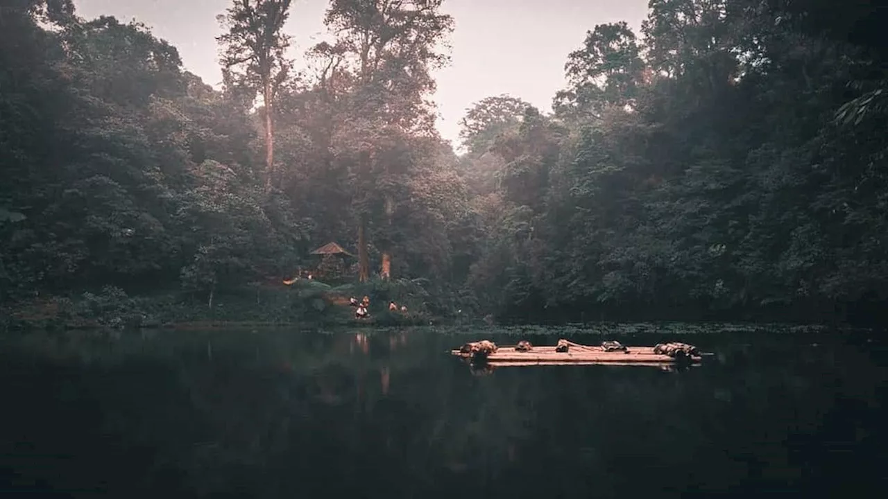 Keistimewaan Ranu Darungan di Gunung Semeru, Tak Kalah dengan Ranu Kumbolo