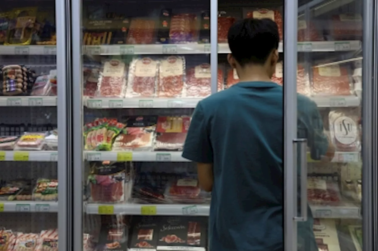 Chinese firms reserve right to request investigations into EU pork, dairy