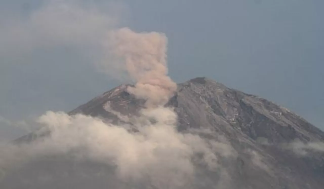 Gunung Semeru Erupsi, Abu Vulkanik Terlempar Setinggi 900 Meter