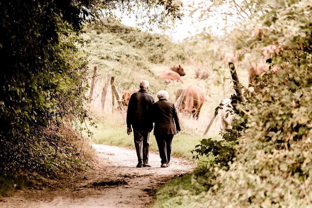 Implementing physical activity recommendations for people with rheumatic and musculoskeletal diseases