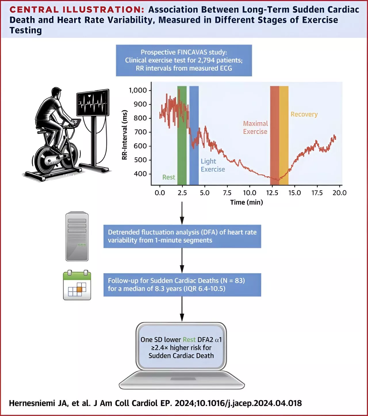 Researchers develop method to predict sudden cardiac death from 1-minute heart rate