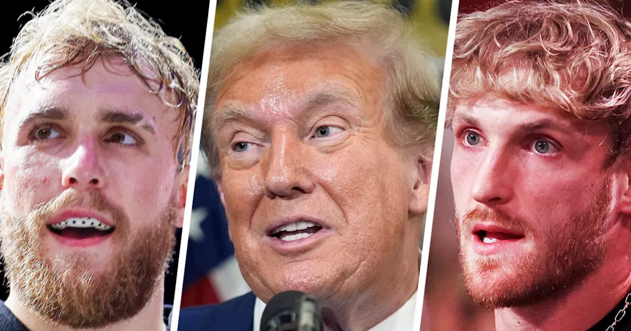 Jake and Logan Paul's endorsement of Trump highlights lack of more credible support