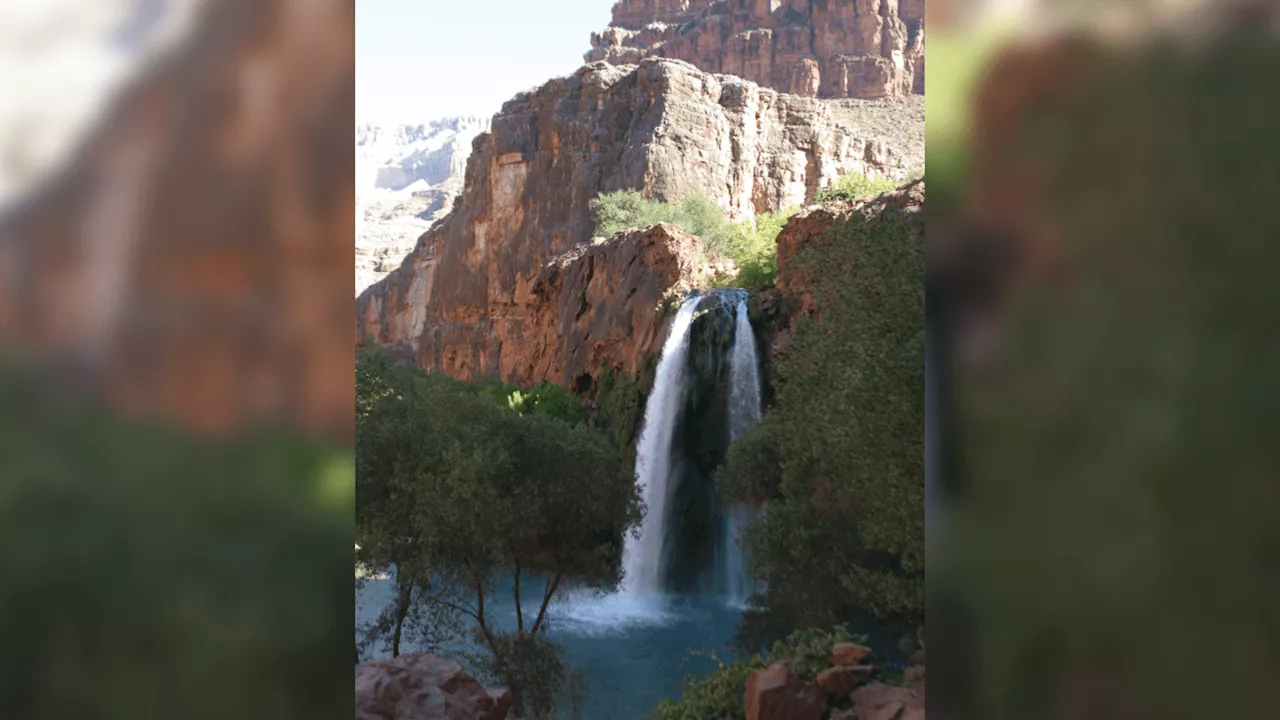 Dozens of hikers became ill during trips to waterfalls near the Grand Canyon