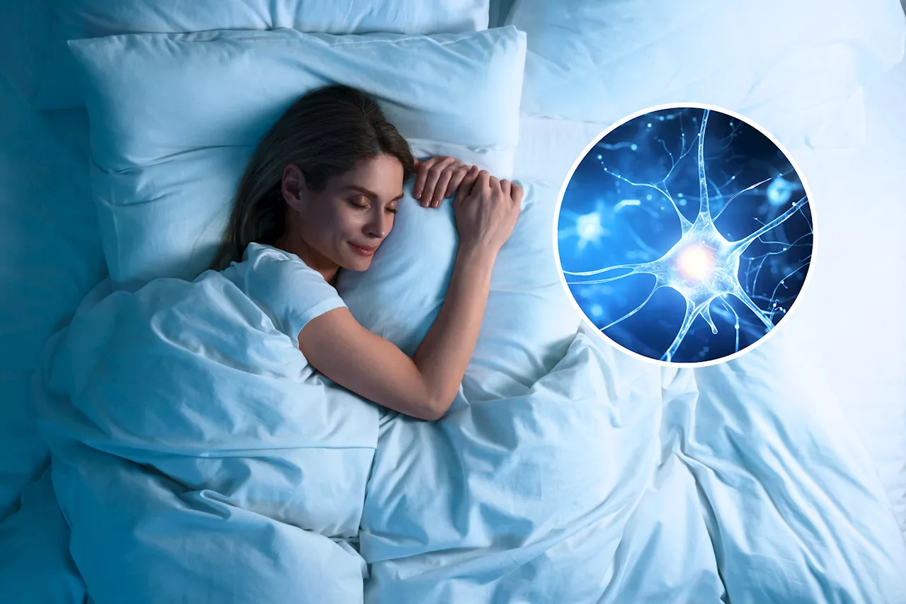 Neuroscientists Make Breakthrough Memory-and-Sleep Discovery