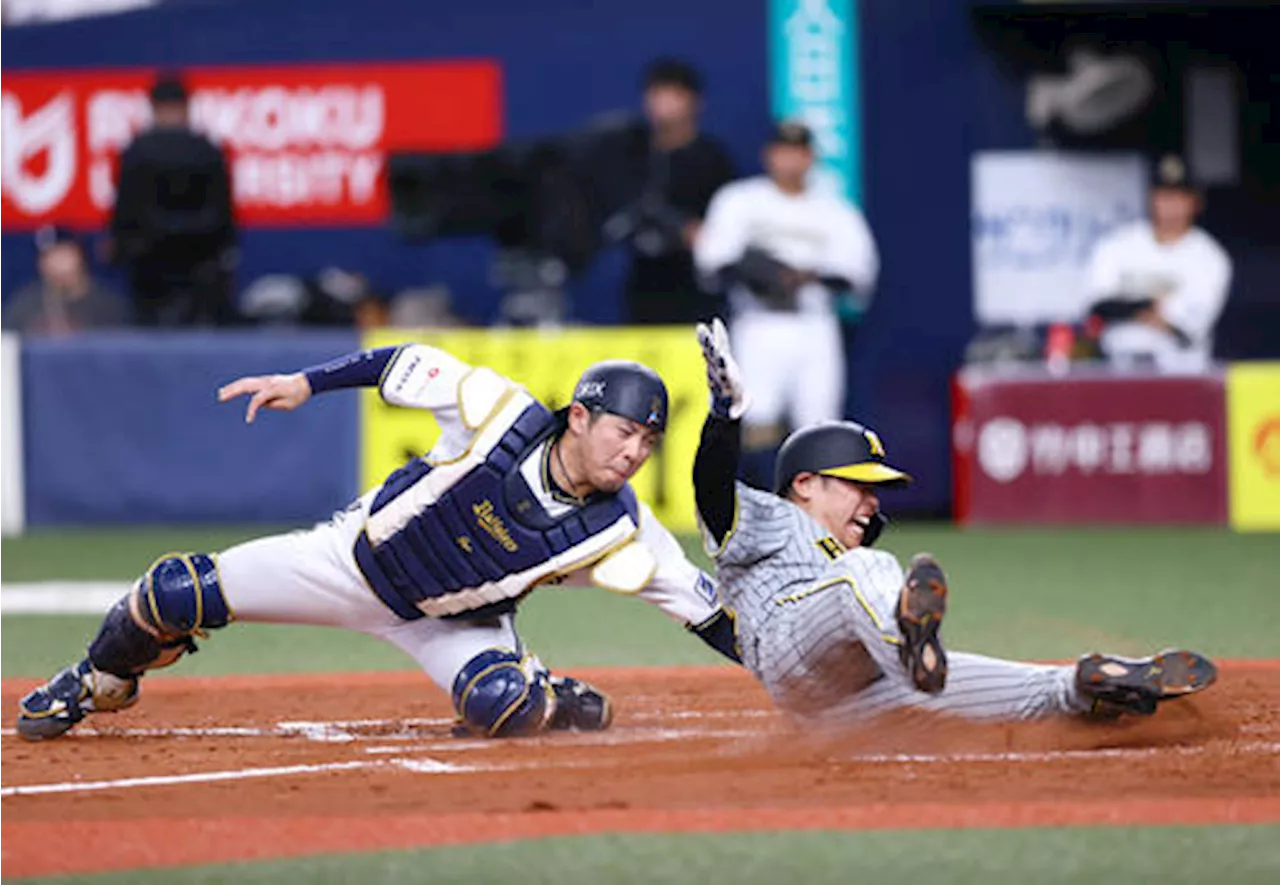 【虎になれ】勝敗分けた両軍の走塁 関西決戦最終ラウンド 来田走塁ミスで阪神に試合の流れ来た