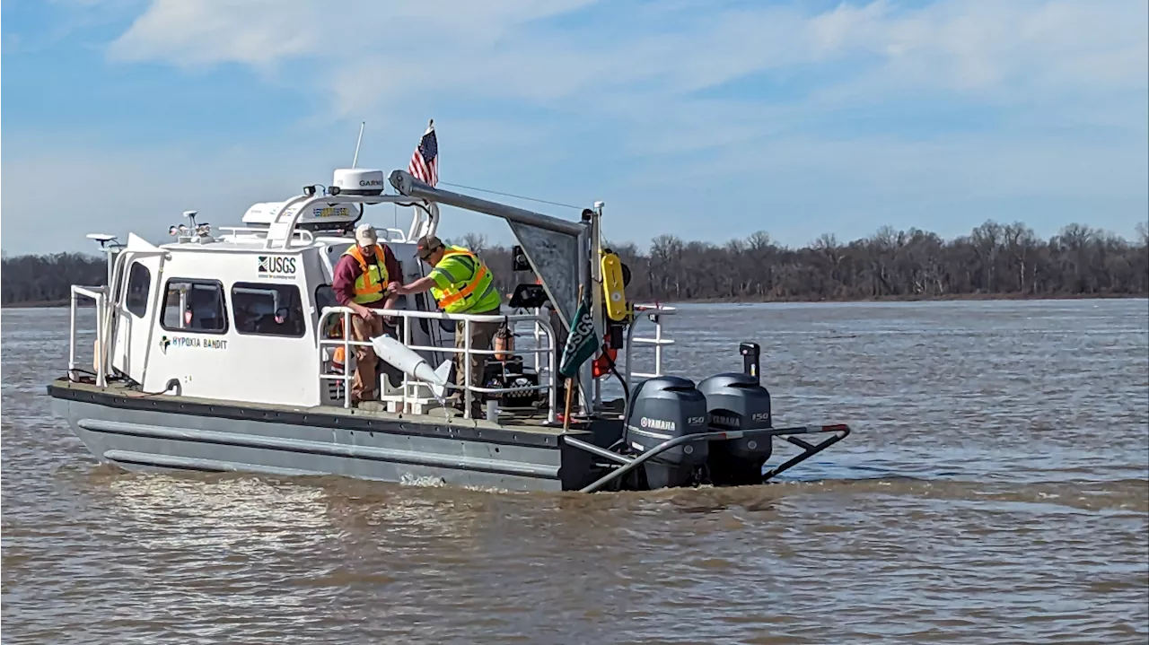 NOAA forecasts above-average summer 'dead zone' in Gulf of Mexico