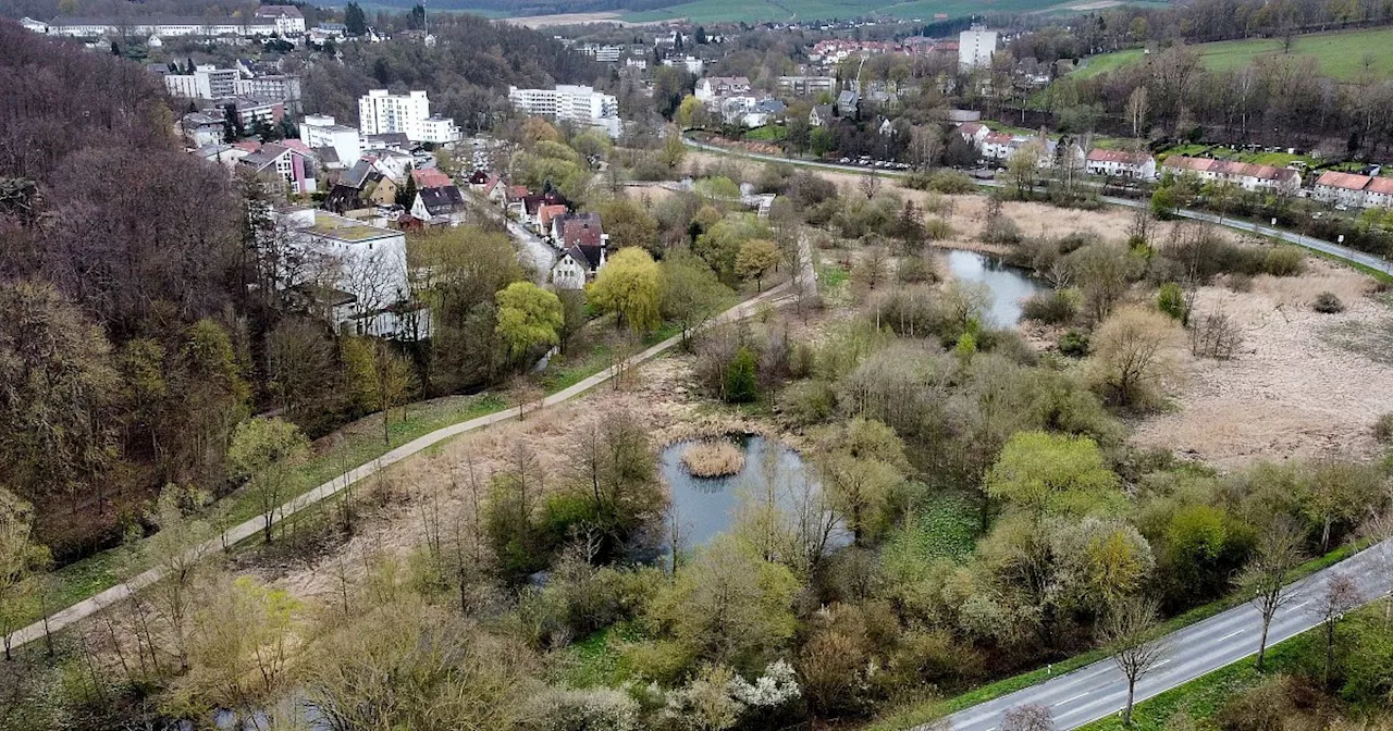 Nach Landesgartenschau: Staatsanwalt ermittelt gegen Bad Gandersheimer Bürgermeisterin