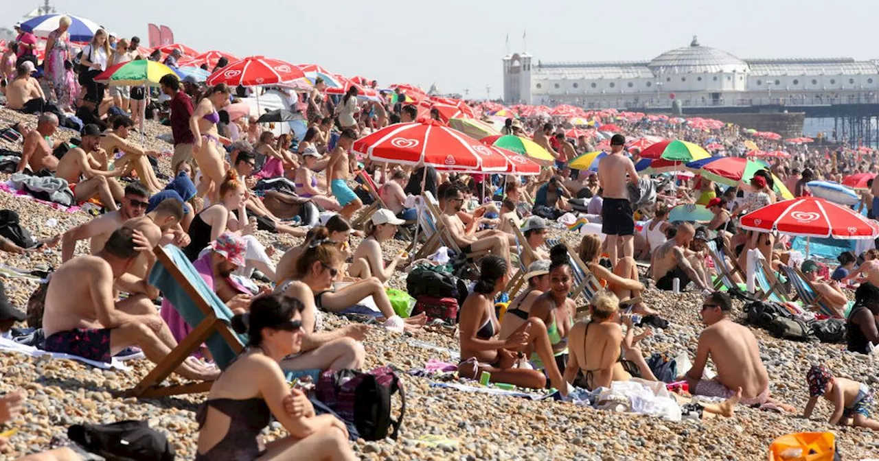 Brits face 'July mega heatwave' with 'very high' risk of temperatures above 35C