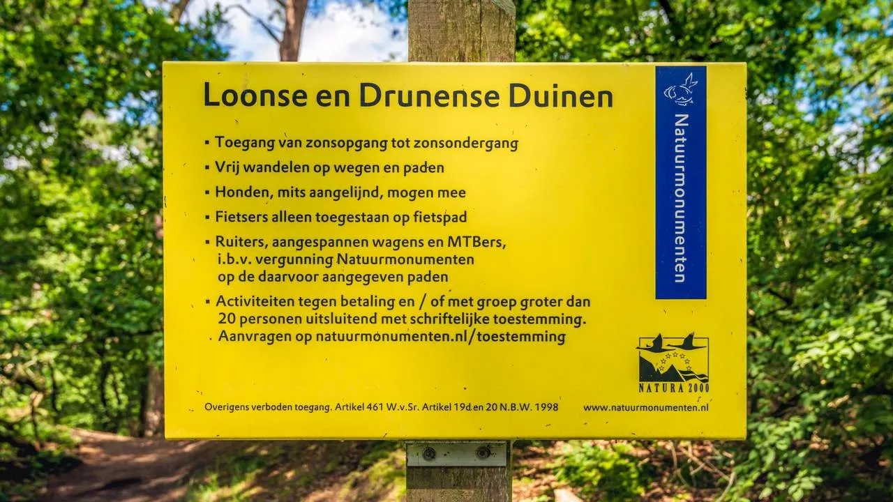 Amerikaanse eiken massaal tegen de vlakte in Loonse en Drunense Duinen