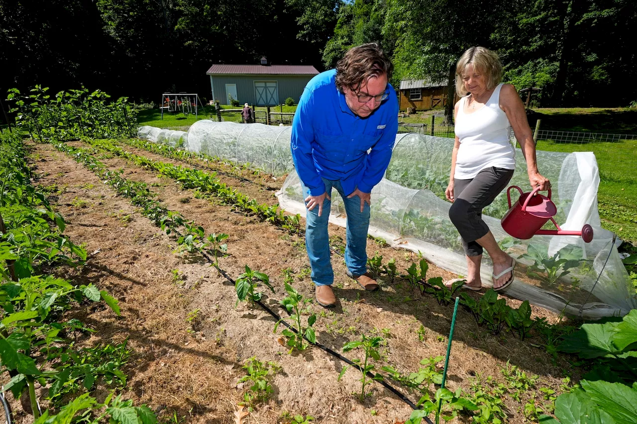 Toxic garlic should have pushed EPA to warn against gardening near Ohio derailment: watchdog