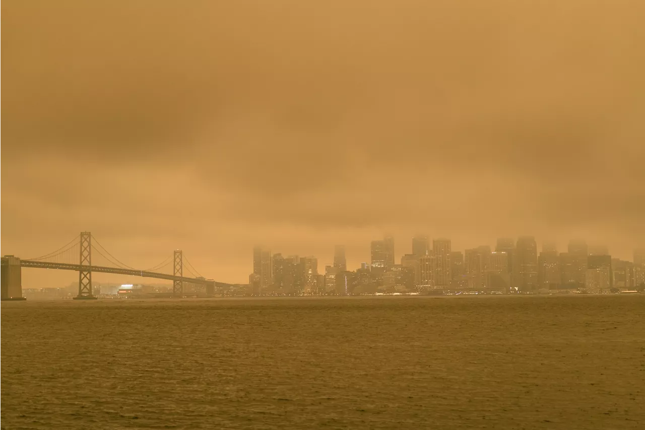 Grand jury report faults San Francisco for inadequate climate threat planning