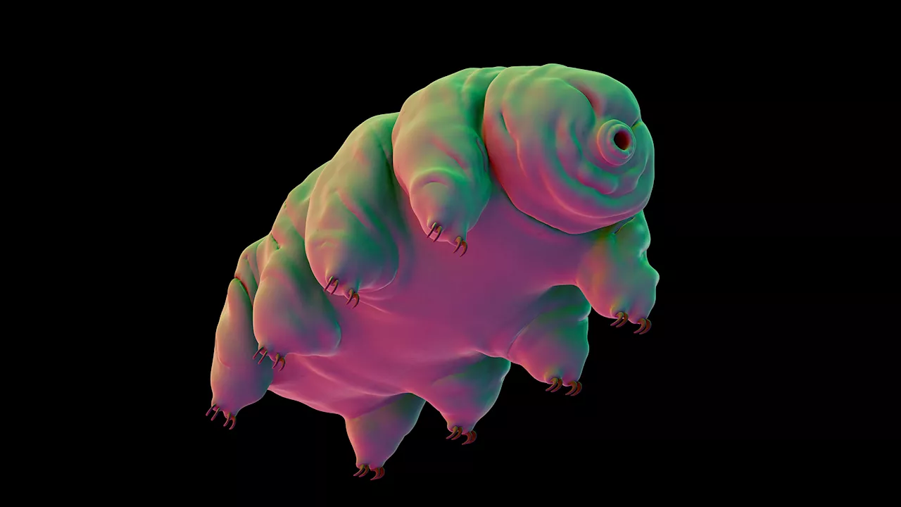 Tardigrade genes edited with an advanced CRISPR technique