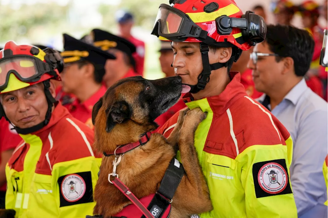 5 firefighter dogs who rescued people from natural disasters are honored in Ecuador as they retire