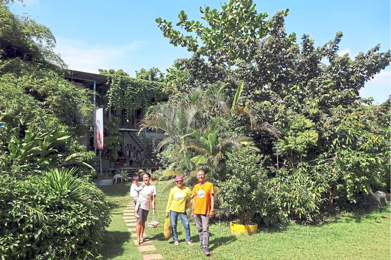 Malaysian couple turns degraded land into thriving food forest with over 286 plant species