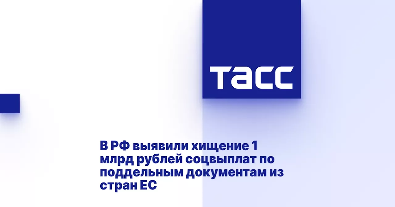 В РФ выявили хищение 1 млрд рублей соцвыплат по поддельным документам из стран ЕС