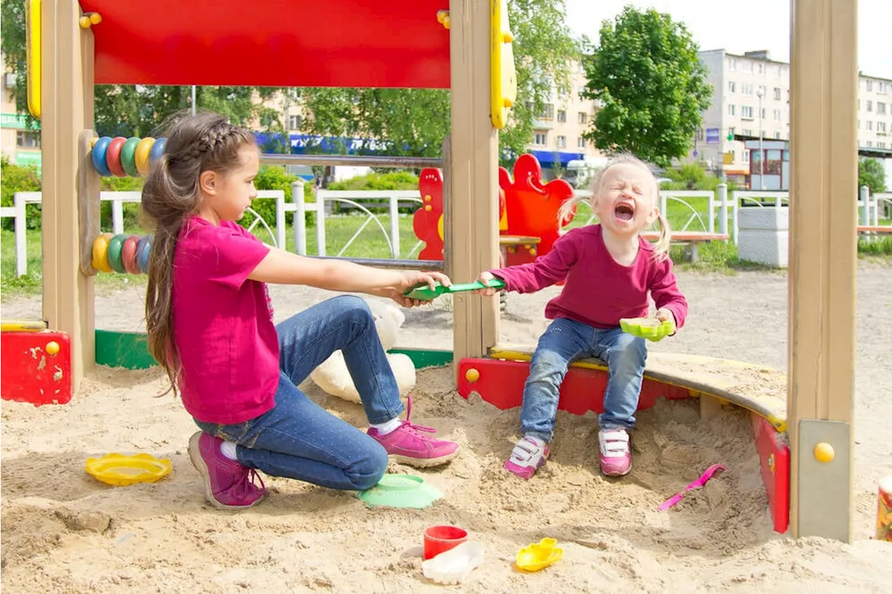 Google's Privacy Sandbox more like a privacy mirage, campaigners claim