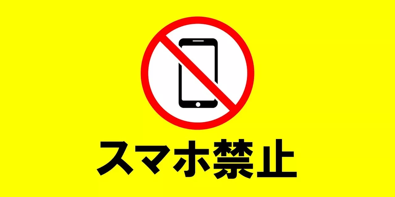 Japan forces Apple and Google to allow third-party app stores and payments